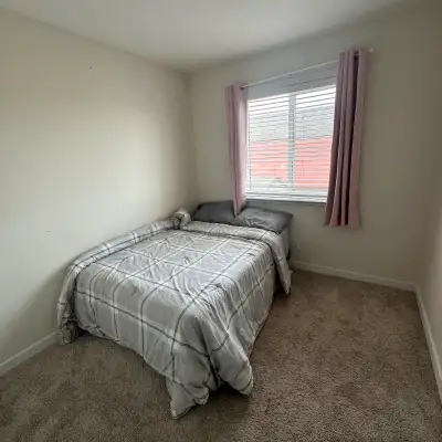 Room for rent
