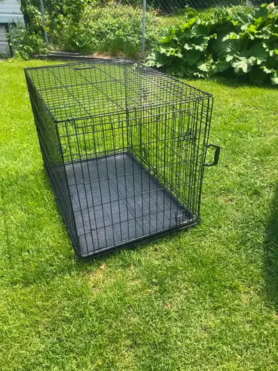 Extra large dog crate for sale. Size is 52 inches long X 27 inches wide X 30 inches high. 2 doors, t...