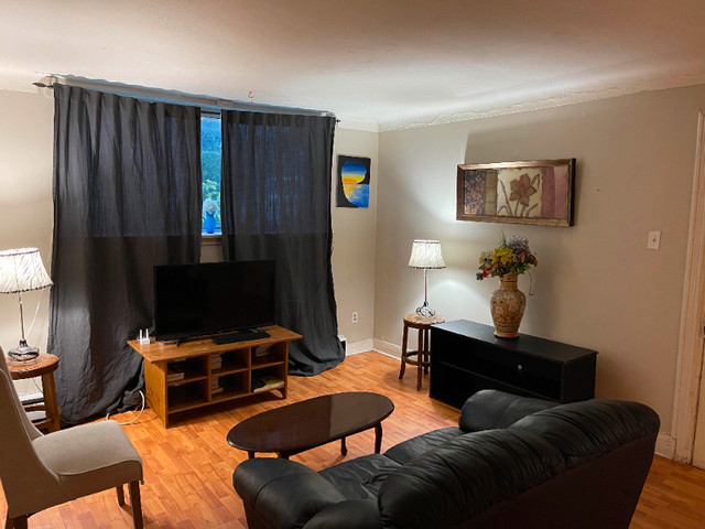 Short Rental DEAL - Great one bdrm apt w free parking downtown in Short Term Rentals in Ottawa - Image 2