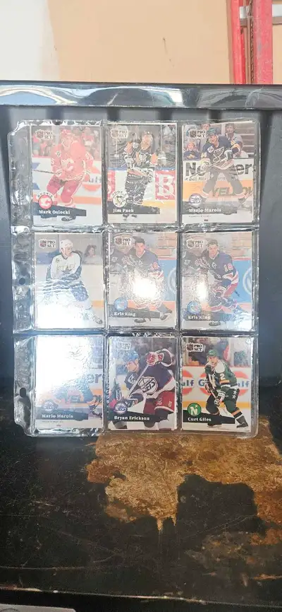 I'm offering a set of Score hockey cards housed in protective plastic sleeves. These cards are a gre...