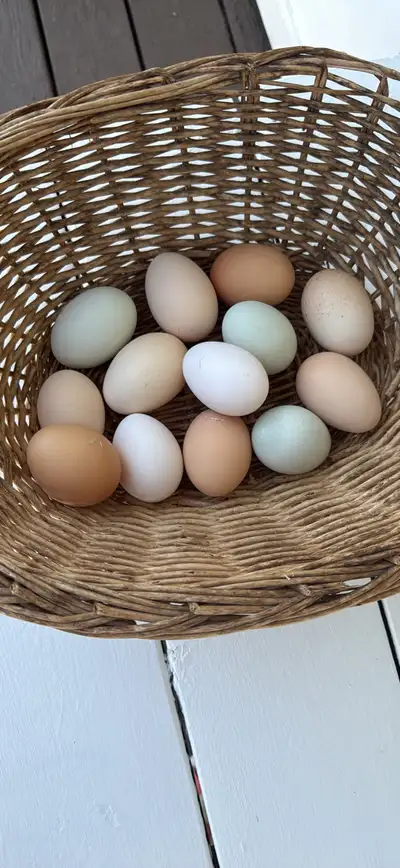 Farm Fresh Eggs, View more