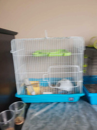 Hamster nains avec cages et accessoires 