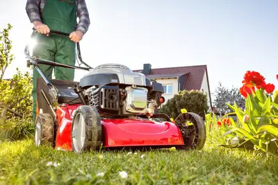 lawn care , View more
