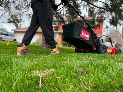 Grass Cutting *Fully Insured*