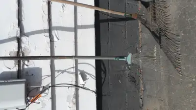 ASSORTED GARDENING TOOLS, View more