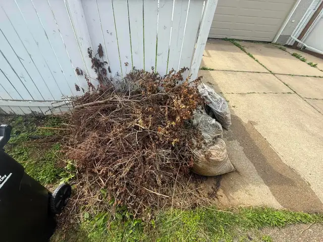 Junk Removal 543426439388211201