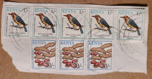 Kenya stamps - used 
Barbet/Groundnut  in Arts & Collectibles in Kitchener / Waterloo - Image 2