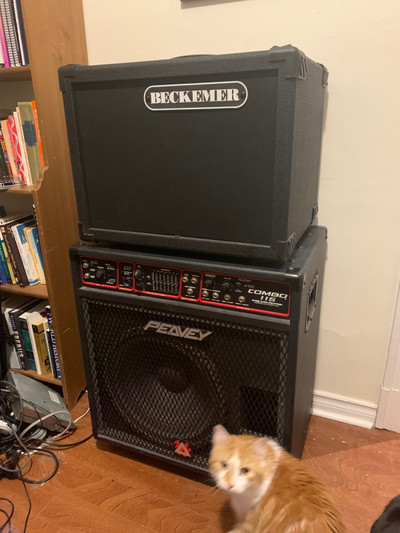 Peavey Combo 115 bass amp (300W with extra cab)