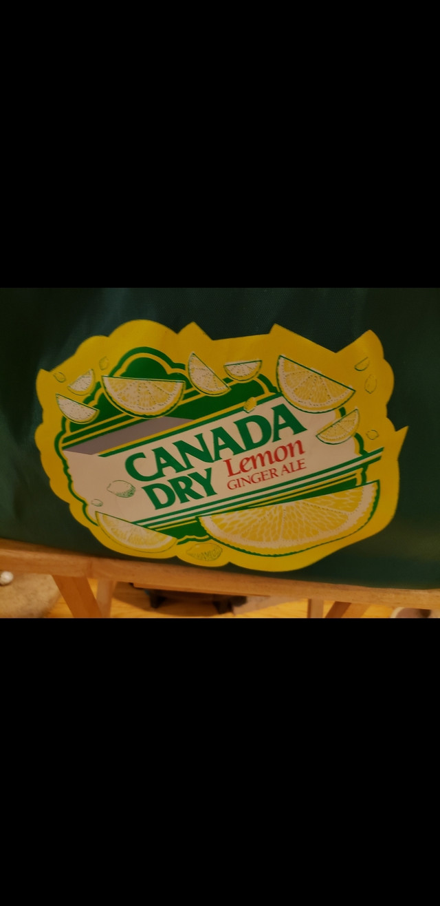 Canada Dry Ginger Ale Insulated Food Bag Great for Food Delivery in BBQs & Outdoor Cooking in Hamilton - Image 2