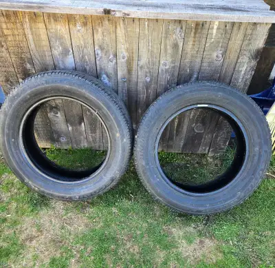 I'm selling a pair of Bridgestone tires, size 205/60R16 92H, which are all-season radials perfect fo...
