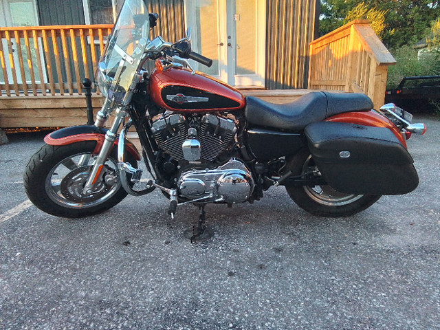 2011 harley davidson sportster custom 1200  1st owner  low km in Street, Cruisers & Choppers in Sarnia - Image 2