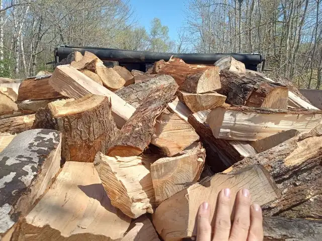 Firewood64628637400835122