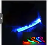 Premium LED Pet Collar