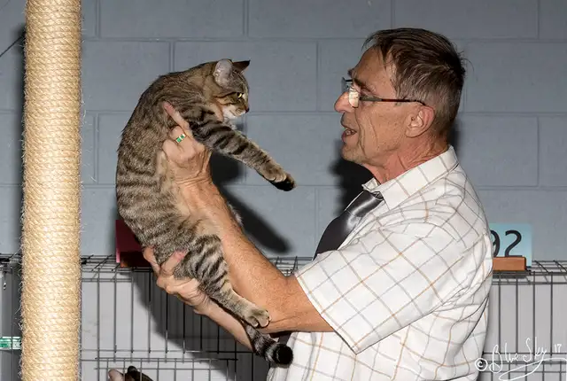 Ottawa Cat Show561546786673807369