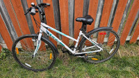 CCM Orion Bicycle 6061