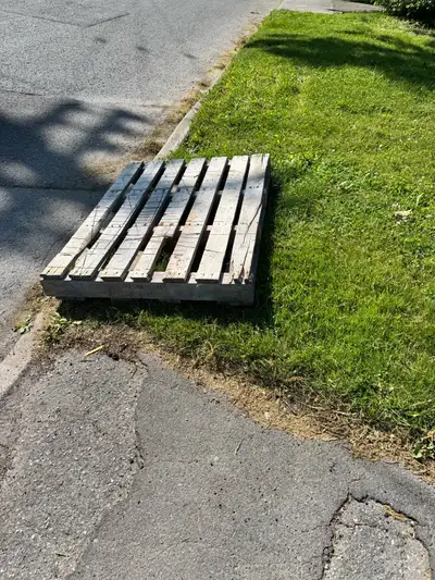 free wood pallet, View more