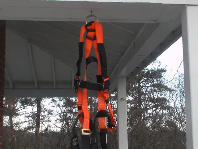 Painters Harnass in Other in Rimouski / Bas-St-Laurent - Image 2