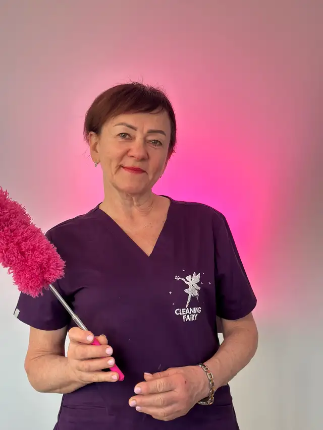 CLEANING FAIRY -5874385717628637138776331226