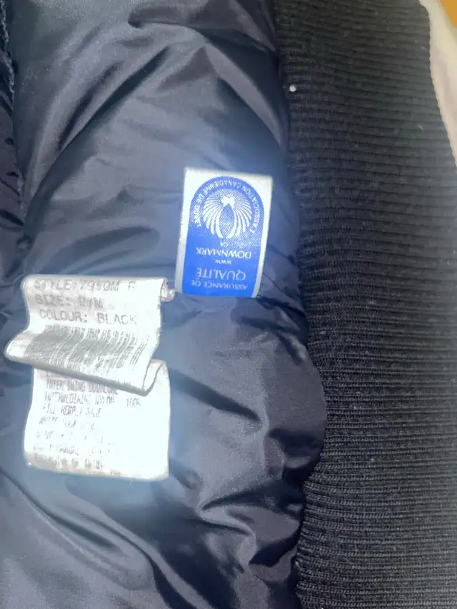 Canada Goose in Other in City of Toronto - Image 5