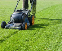 Grass cutting lawn Care 