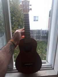 Ukulele 