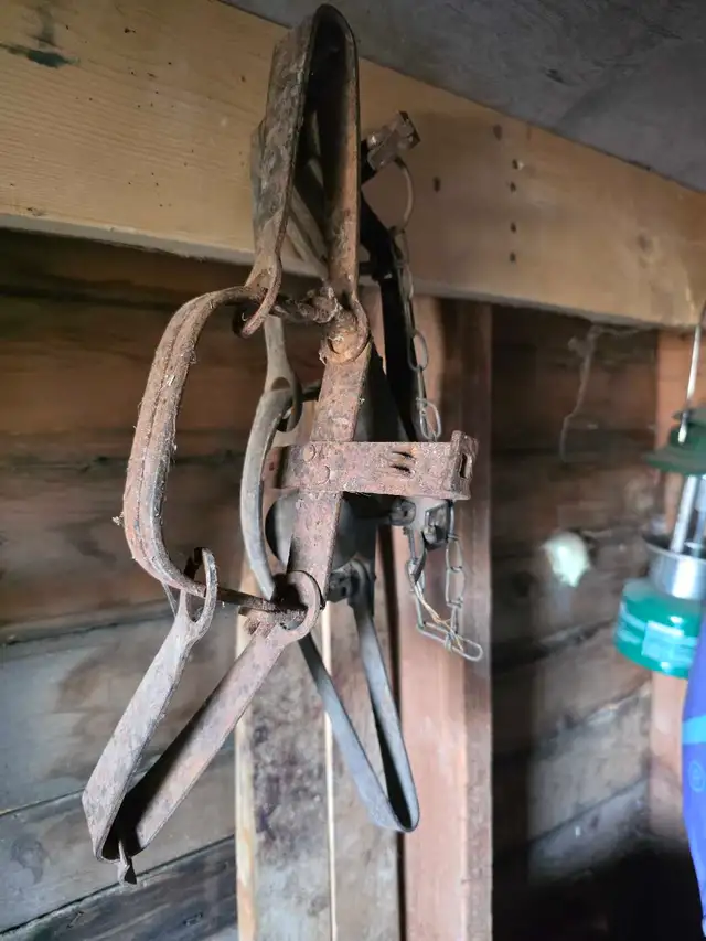 old traps 
