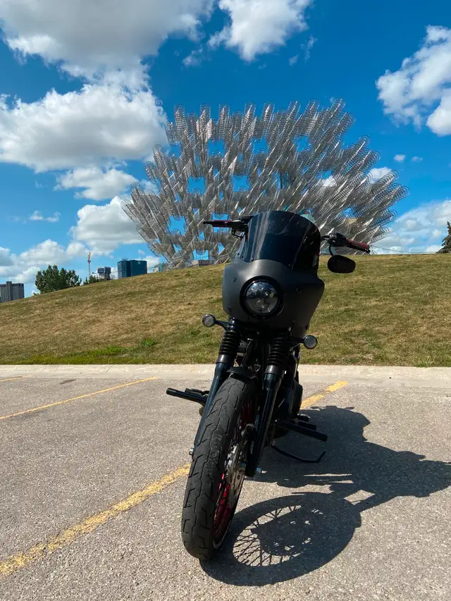 2013 Harley Davidson Dyna - Street Bob - FXDBP in Street, Cruisers & Choppers in Winnipeg - Image 4