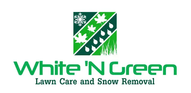 Small Engine Mechanic Wanted in Construction & Trades in Edmonton - Image 2
