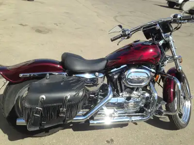 Custom Sporty, 1200 kit. New tires, battery, new paint, beautiful rims, 2 windshields, sheepskin sea...