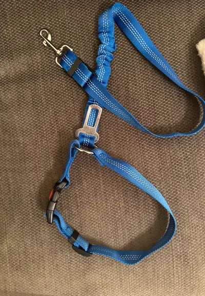 Car Leash. Unused. Pick up only. No holds. $10. Price is not negotiable. Cash only, e-transfers not...