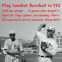 Play Adult Baseball in YEG. Wood Bats. All Welcome!