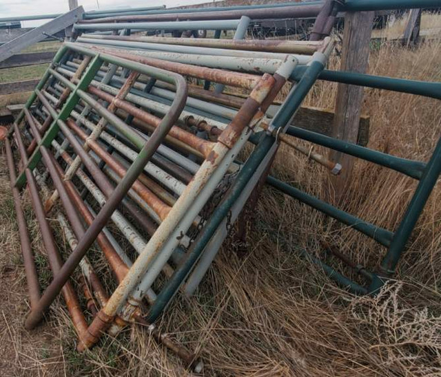 Livestock Used corral gates and closures in Livestock in Swift Current - Image 4