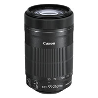 Canon EF-S 55-250mm f/4-5.6 IS STM telephoto zoom lens