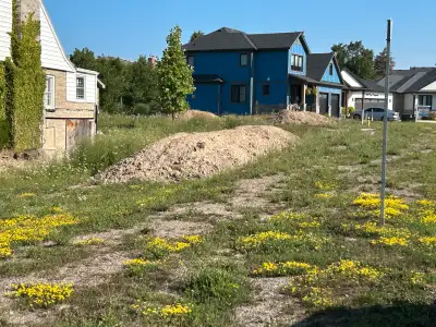 Looking for Monthly Weed Trimming Service, View more