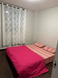 Appartment for rent in Hamilton 