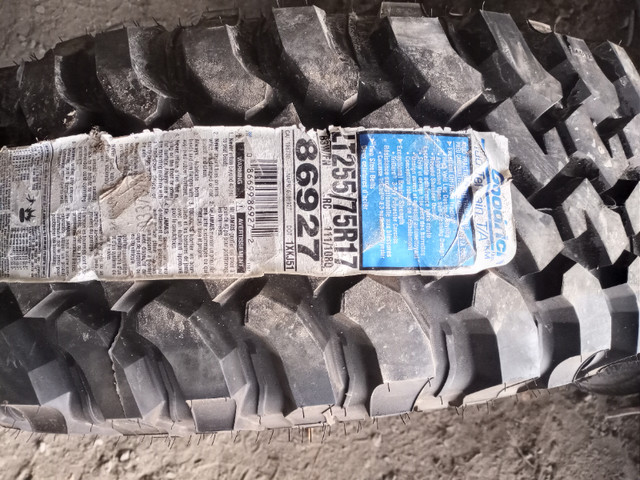 LT255/75-R17 single tire in Tires & Rims in Ottawa - Image 2