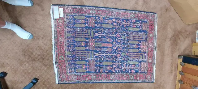 Hand-Knotted Iranian Rug in Rugs, Carpets & Runners in Ottawa - Image 3