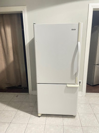 Full working Clean 30w Fridge can DELIVER