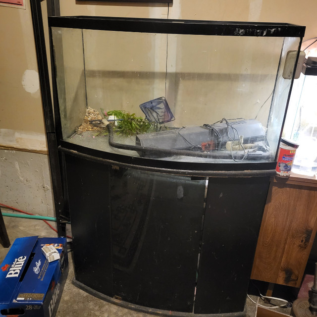 45 Gallon Bow Front Fish Tank and Stand in Accessories in Kitchener / Waterloo - Image 2
