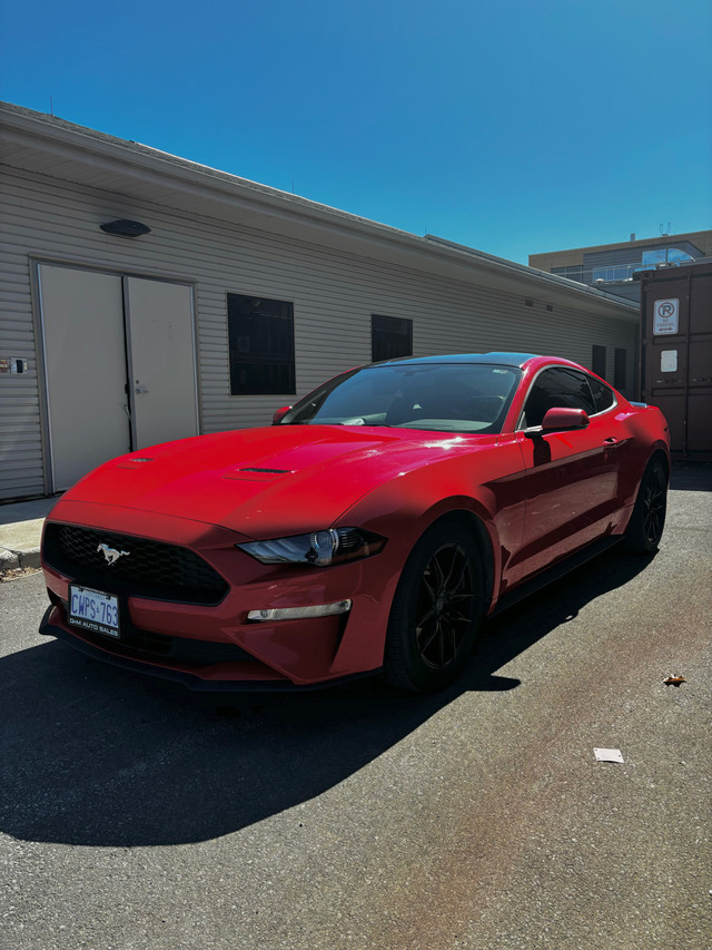 2019 Ford Mustang EcoBoost Coupe 4-cyl Turbo 2.3L in Cars & Trucks in Ottawa