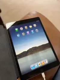 iPad 9th gen 64gig
