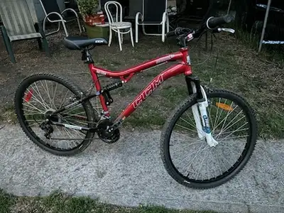 Ccm vandal 24 dual xc hotsell