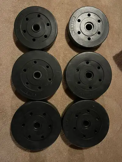 Weight Plates 15 LB & 10 LB, View more