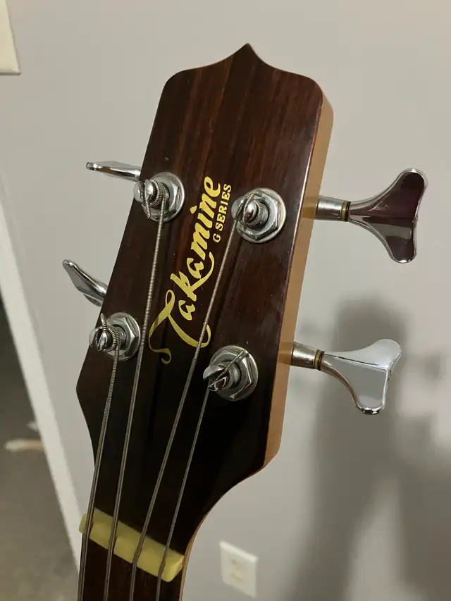 Beautiful Electric/Acoustic Takemine Bass Guitar in Guitars in Markham / York Region - Image 3