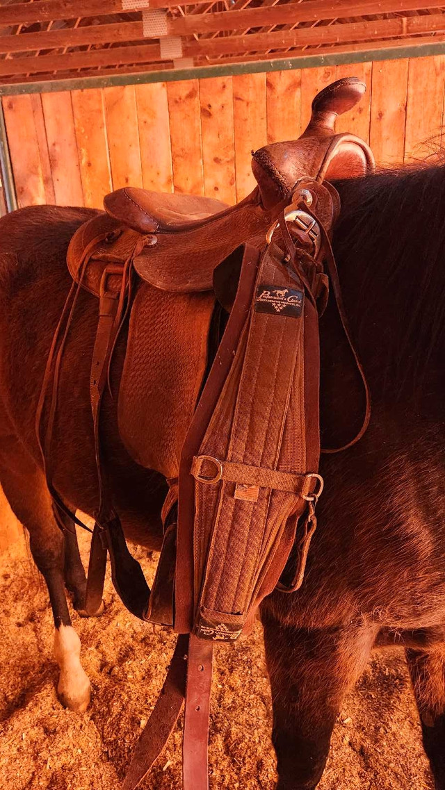 Western rawhide St Boniface 6 mansaddle in Equestrian & Livestock Accessories in Grande Prairie - Image 2