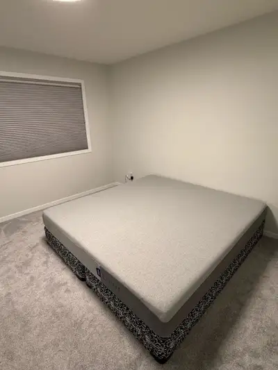King Bed and Boxsprings, View more