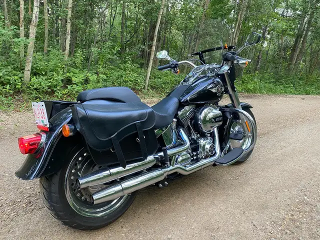 2016 Harley Davidson FATBOY in Street, Cruisers & Choppers in Edmonton - Image 3