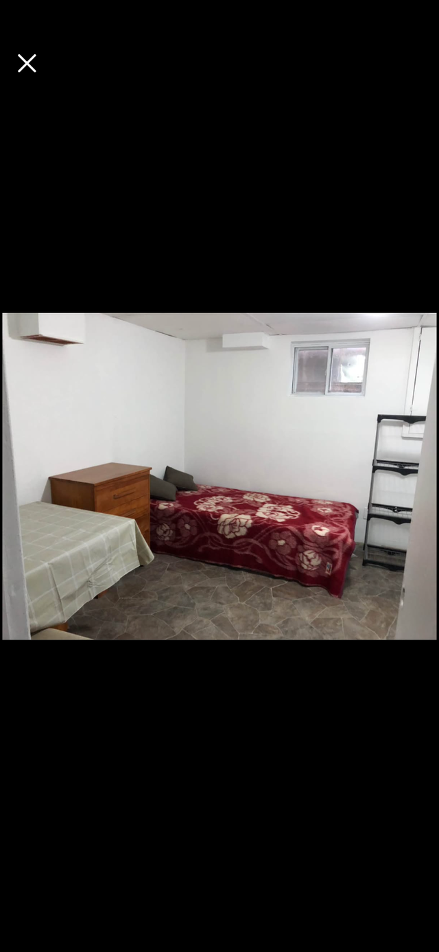 BRIGHT ROOM BASEMENT-50m TO PLAZA STEELES AND BATHURST NEAR BUS