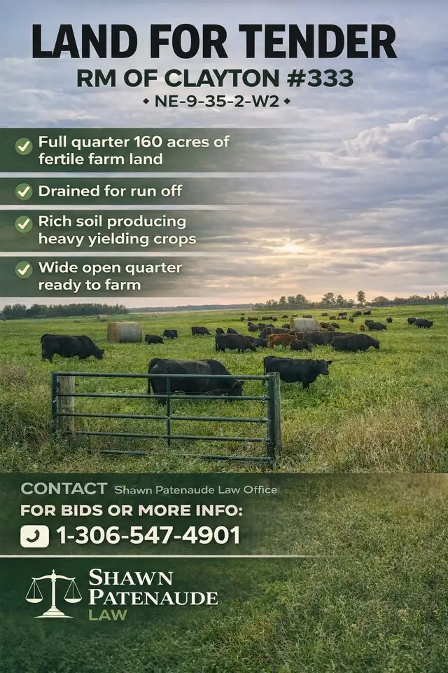 Full quarter wide open land for sale (tender)