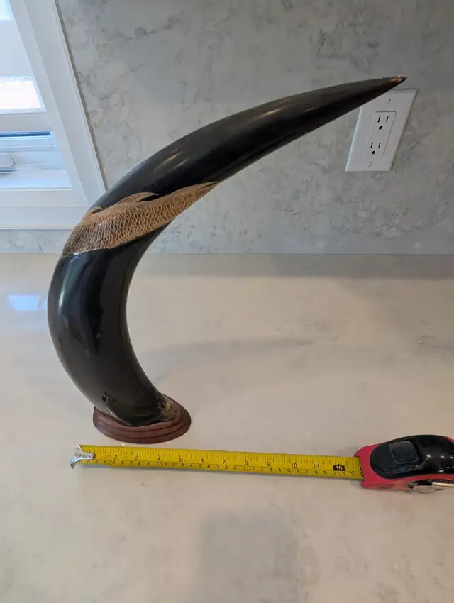 Pair of Mounted Carved Water Buffalo Horns with Dragons and Phoe in Arts & Collectibles in Markham / York Region - Image 8